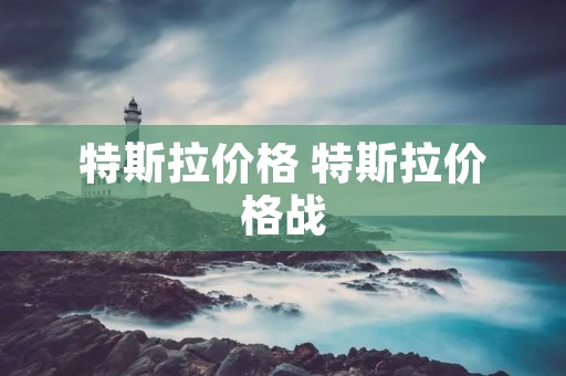特斯拉价格 特斯拉价格战 特斯拉价格 特斯拉价格战