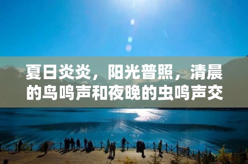 夏日炎炎,阳光普照,清晨的鸟鸣声和夜晚的虫鸣声交织在一起,构成了夏季的生动画面。在这个季节里,绿意盎然,花香四溢,无论是在田野还是在城市中,都能感受到夏天的美好。