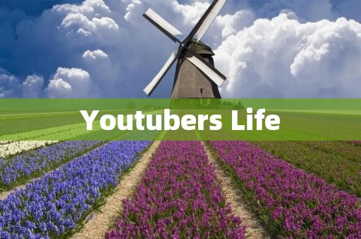 Youtubers Life：成为你想要的网络红人
