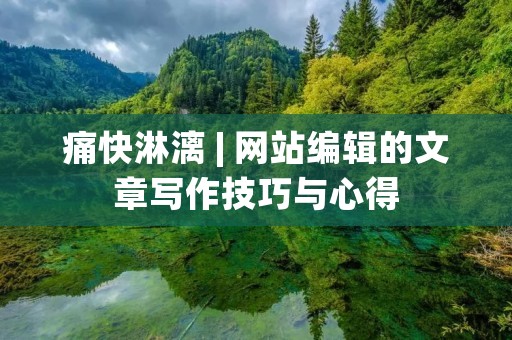 痛快淋漓 | 网站编辑的文章写作技巧与心得