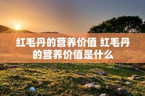 红毛丹的营养价值 红毛丹的营养价值是什么