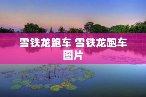 雪铁龙跑车 雪铁龙跑车图片 雪铁龙跑车 雪铁龙跑车图片