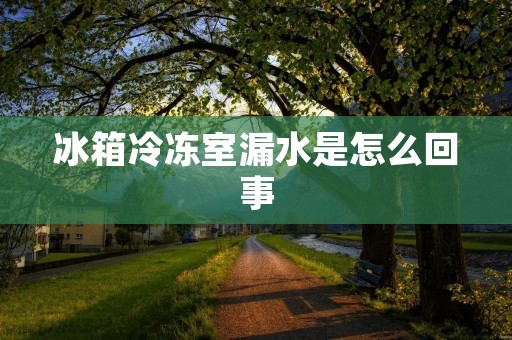 冰箱冷冻室漏水是怎么回事