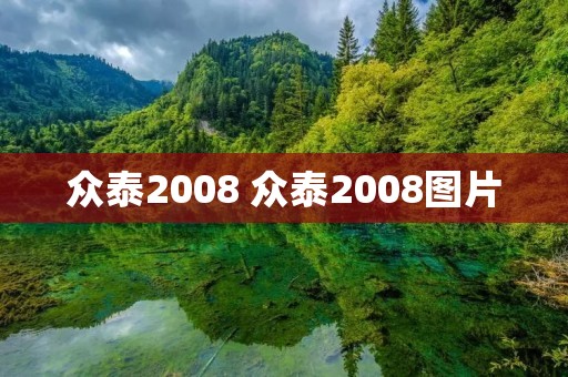 众泰2008 众泰2008图片