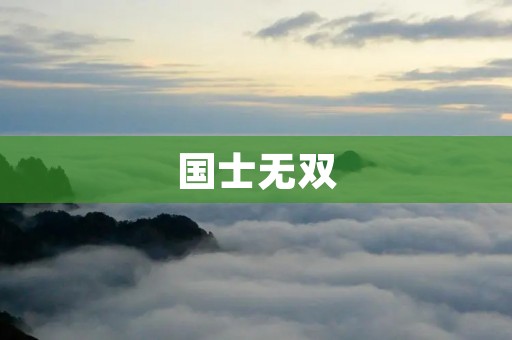 国士无双:传奇人物的独特魅力