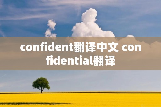 confident翻译中文 confidential翻译