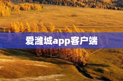爱潍城app客户端：打造便捷生活的指南