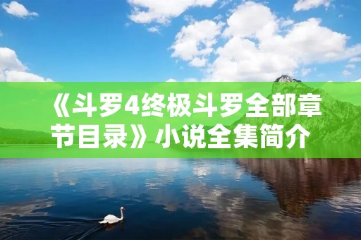 《斗罗4终极斗罗全部章节目录》小说全集简介