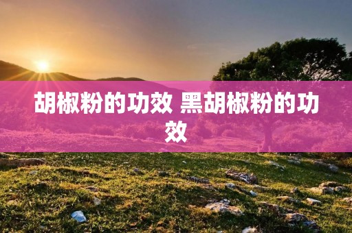 胡椒粉的功效 黑胡椒粉的功效