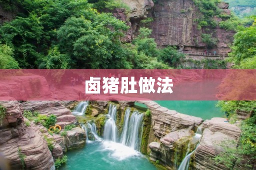 卤猪肚做法:美味鲜香的家常佳肴 卤猪肚做法:美味鲜香的家常佳肴