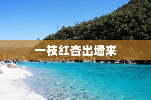 一枝红杏出墙来：流转的时光中的绚烂与坚韧