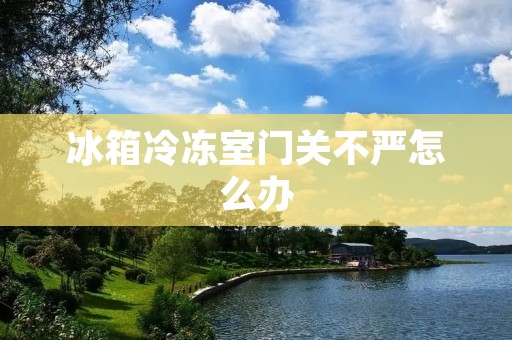 冰箱冷冻室门关不严怎么办 冰箱冷冻室门关不严怎么办