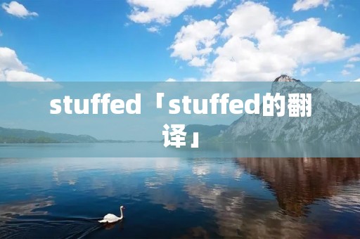 stuffed「stuffed的翻译」