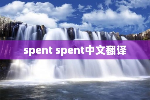 spent spent中文翻译