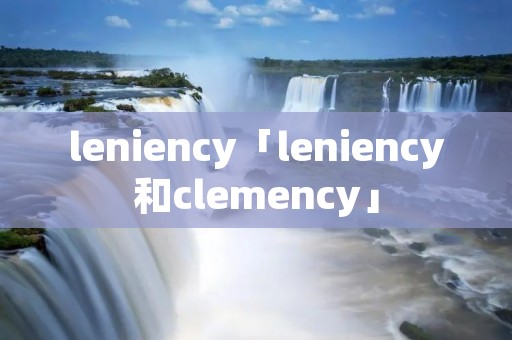 leniency「leniency和clemency」