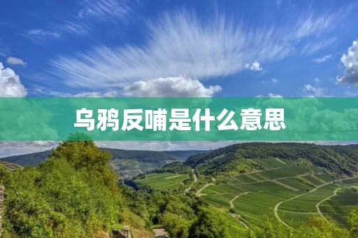 乌鸦反哺是什么意思