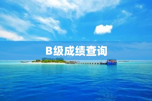 B级成绩查询:如何查询并提升你的学业成绩