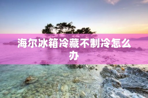 海尔冰箱冷藏不制冷怎么办