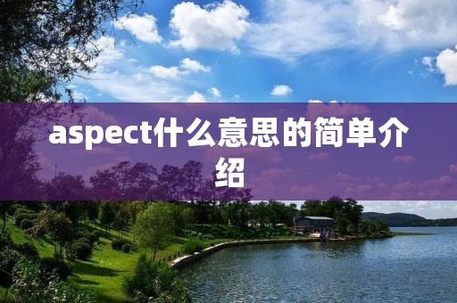 aspect什么意思的简单介绍 aspect什么意思的简单介绍