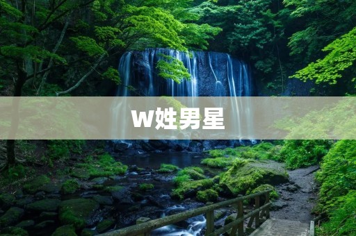 W姓男星:王凯,用演技征服观众的实力派演员