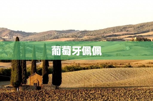 葡萄牙佩佩:传奇足球运动员的辉煌征程