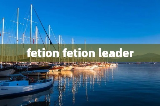 fetion fetion leader