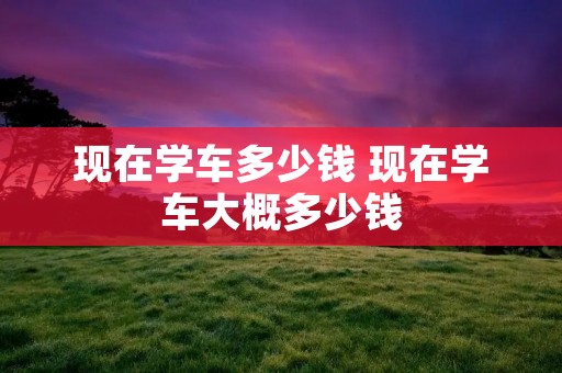 现在学车多少钱 现在学车大概多少钱 现在学车多少钱 现在学车大概多少钱