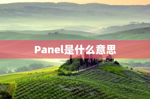 Panel是什么意思 Panel是什么意思