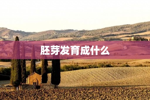 胚芽发育成什么