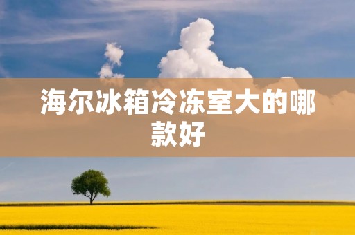 海尔冰箱冷冻室大的哪款好