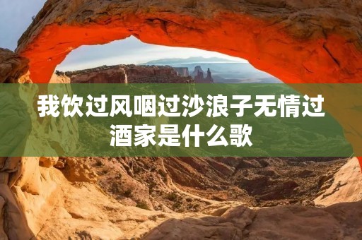 我饮过风咽过沙浪子无情过酒家是什么歌