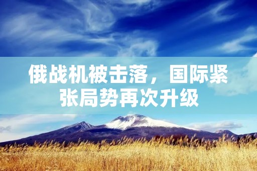 俄战机被击落,国际紧张局势再次升级