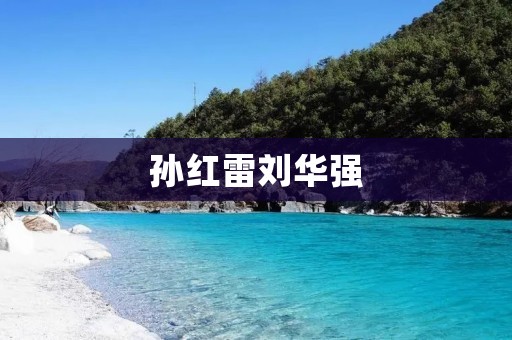 孙红雷刘华强:两位中国电影界的璀璨明星