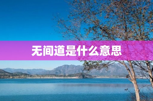 无间道是什么意思