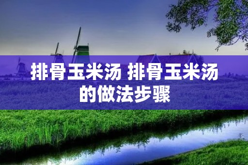 排骨玉米汤 排骨玉米汤的做法步骤