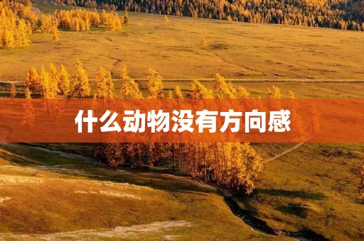 什么动物没有方向感