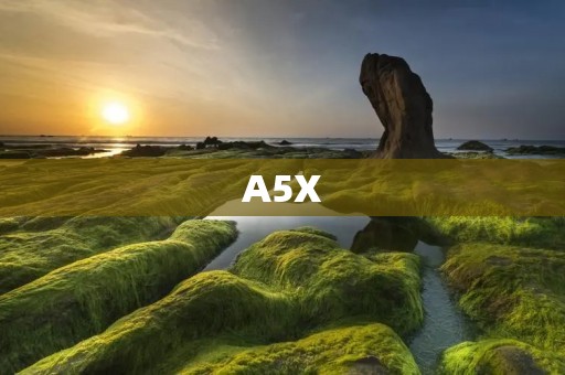 A5X:一款强悍性能的全能手机