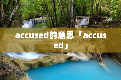 accused的意思「accused」