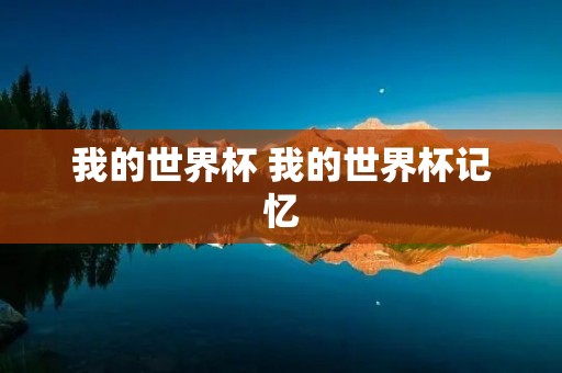 我的世界杯 我的世界杯记忆
