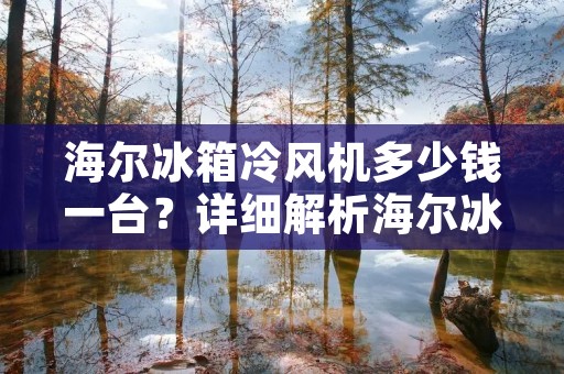 海尔冰箱冷风机多少钱一台？详细解析海尔冰箱冷风机价格及其特点