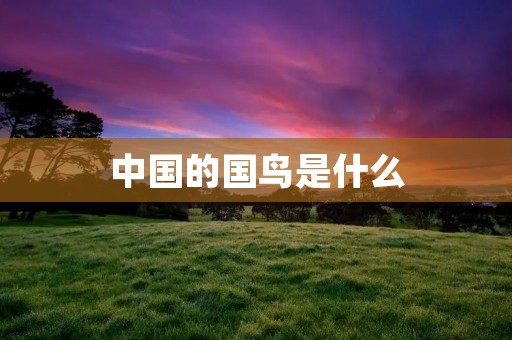 中国的国鸟是什么