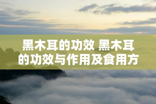 黑木耳的功效 黑木耳的功效与作用及食用方法