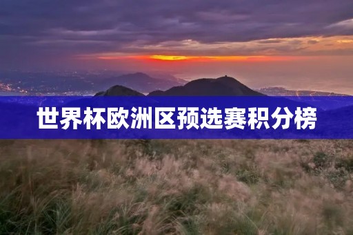 世界杯欧洲区预选赛积分榜:实力角逐与激烈竞争