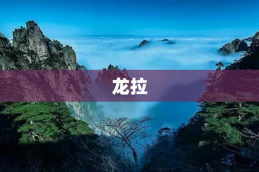 龙拉:传统与创新的完美结合