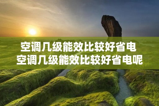 空调几级能效比较好省电 空调几级能效比较好省电呢