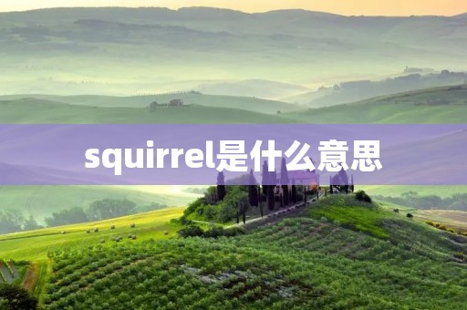 squirrel是什么意思 squirrel是什么意思