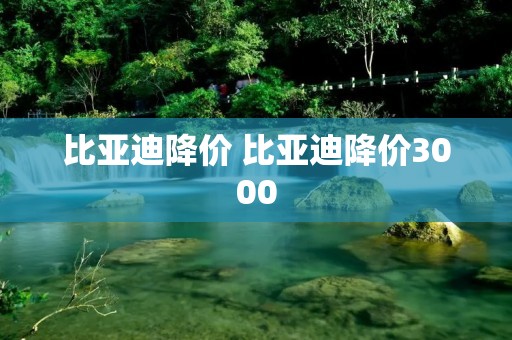 比亚迪降价 比亚迪降价3000