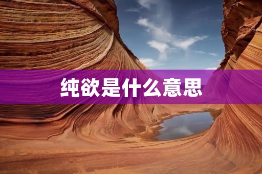 纯欲是什么意思