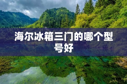 海尔冰箱三门的哪个型号好