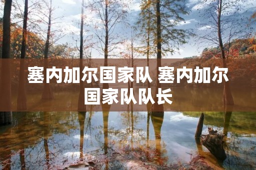 塞内加尔国家队 塞内加尔国家队队长 塞内加尔国家队 塞内加尔国家队队长